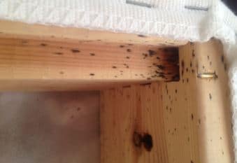 How to Clean Used Furniture To Prevent Bed Bugs
